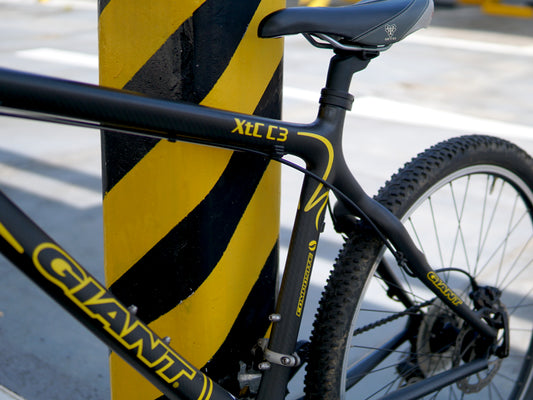 Giant XTC (Carbon)